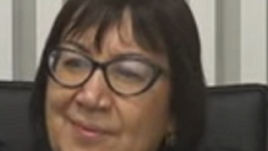 גילה כנפי שטייניץ זונת חדרי מדרגות שהשתדרגה לעליון