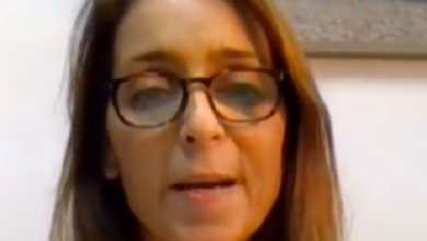 דנה אמיר היתה פרקליטה אלימה וניבזית שמאיימת לעצור עדים