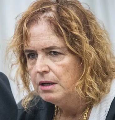 ליאת בן ארי שוחה במדמנה של תפירת תיקים פוליטית