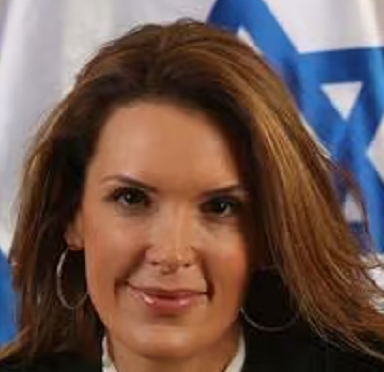 ליזי פרוינד עובדות סוציאליות רשאיות לגנוב ללא פגע